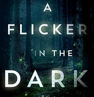 A Flicker in the Dark: A Novel For Sale